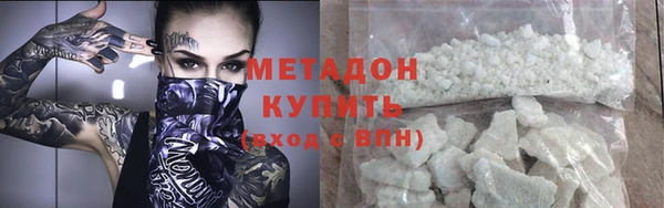 индика Алексин
