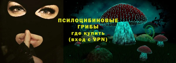 ПСИЛОЦИБИНОВЫЕ ГРИБЫ Абинск