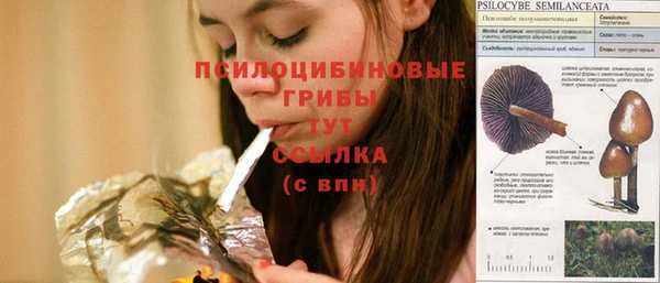 ПСИЛОЦИБИНОВЫЕ ГРИБЫ Абинск