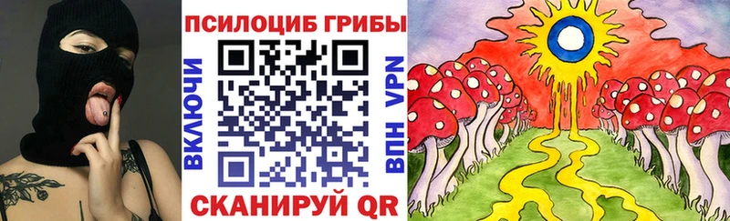 мориарти телеграм  где продают   Новопавловск  Галлюциногенные грибы GOLDEN TEACHER 